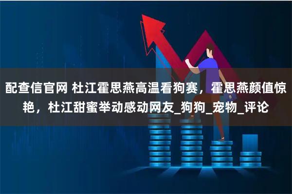 配查信官网 杜江霍思燕高温看狗赛，霍思燕颜值惊艳，杜江甜蜜举动感动网友_狗狗_宠物_评论